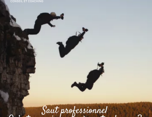 QU’EST CE QUI POUSSE MES CLIENTS A FAIRE LEUR SAUT PROFESSIONNEL ?